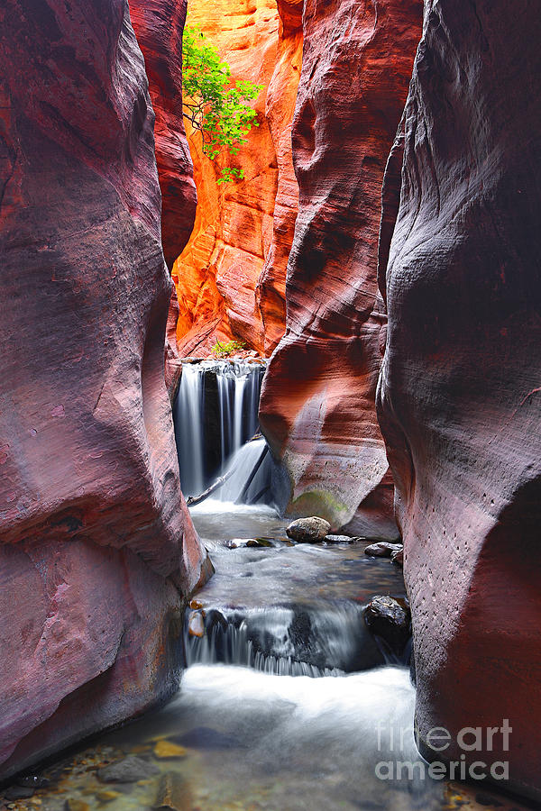 Kanarra Falls Photograph by Bill Singleton