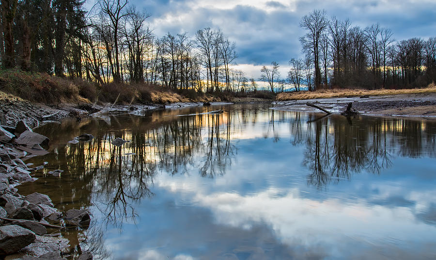 Nature Photograph - Kanata creek Reflection by James Wheeler