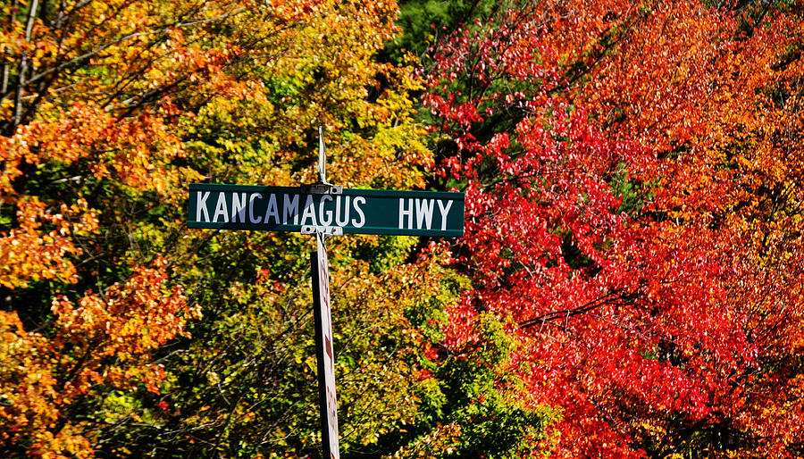Kancamagus Scenic Byway Photograph by Luke Moore