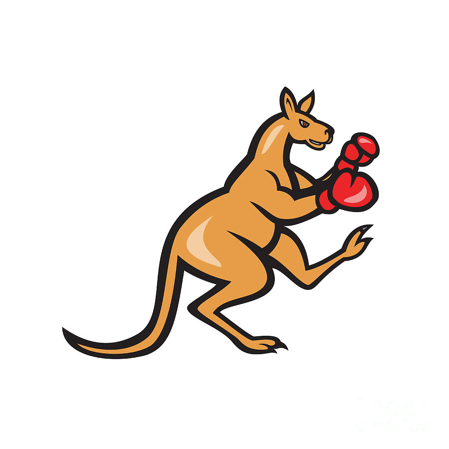 Kangaroo Kick Boxer Boxing Cartoon Digital Art by Aloysius Patrimonio -  Pixels