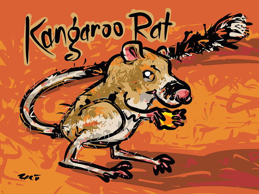 Kangaroo Rat by jivu on DeviantArt