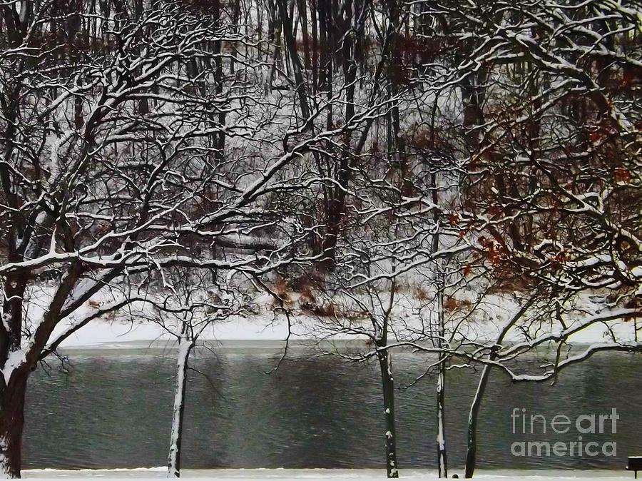 Kankakee River in Winter Photograph by Brigitte Emme