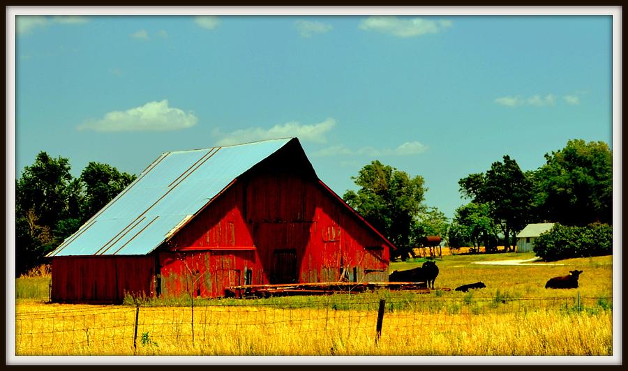 Kansas Barn Photograph by Antonia Citrino