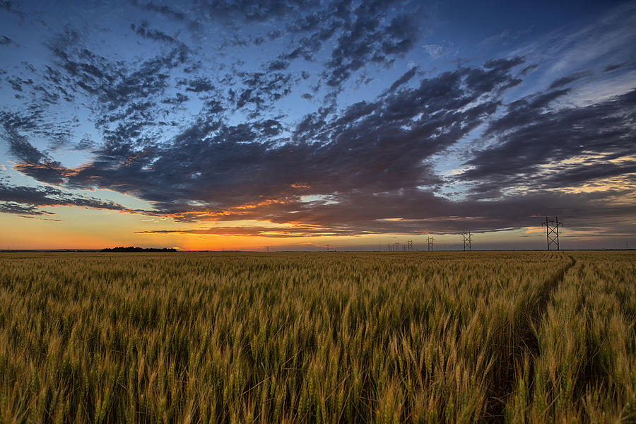 Sunset Photograph - Kansas Color by Thomas Zimmerman