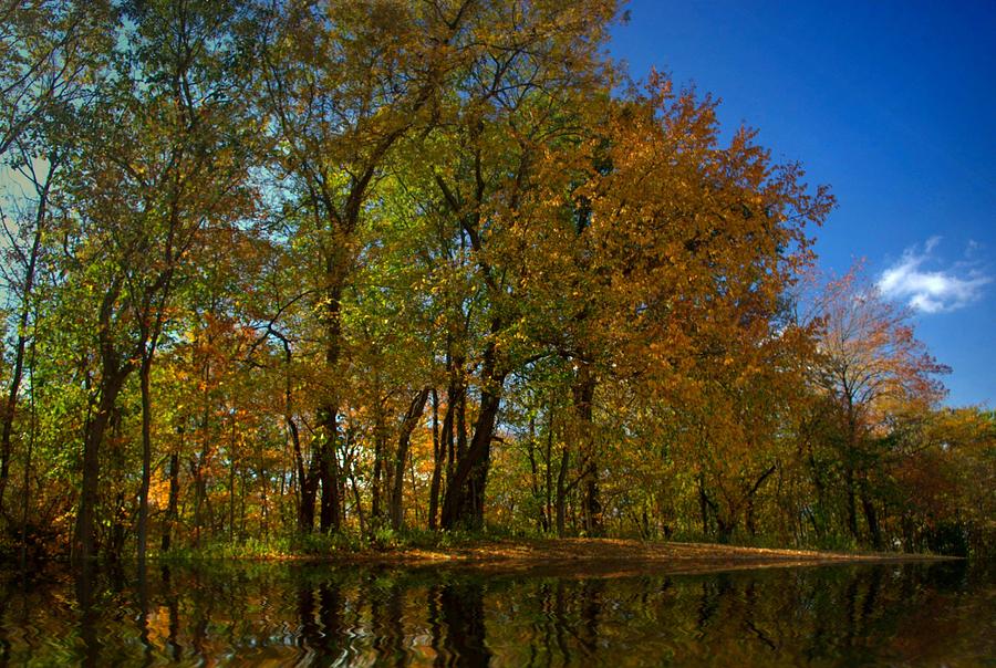 Kansas Fall Foliage Photograph by Tim McCullough