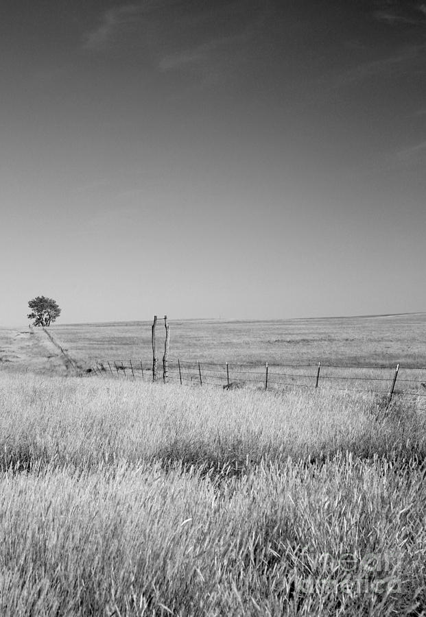 Kansas Prairie Photograph by Betty Morgan