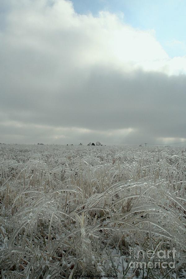 Kansas Prairie Freeze Photograph by PainterArtist FIN