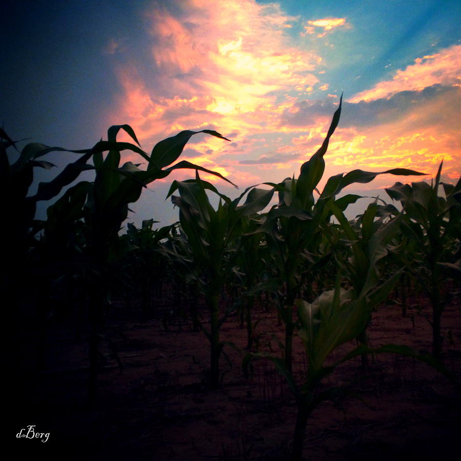 Kansas Sunset Photograph by Douglas Berg