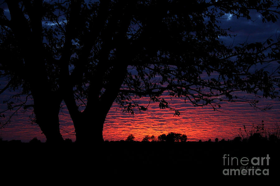 Sunset Photograph - Kansas Sunset by E B Schmidt