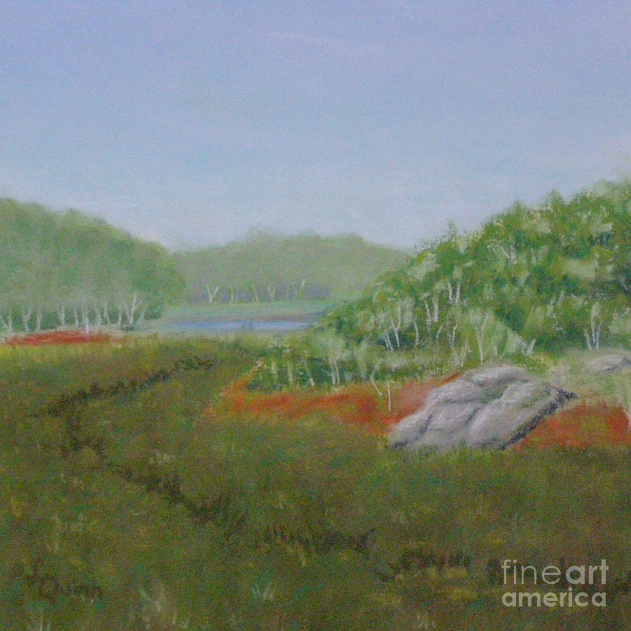 Kantola Swamp Painting by Lynn Quinn