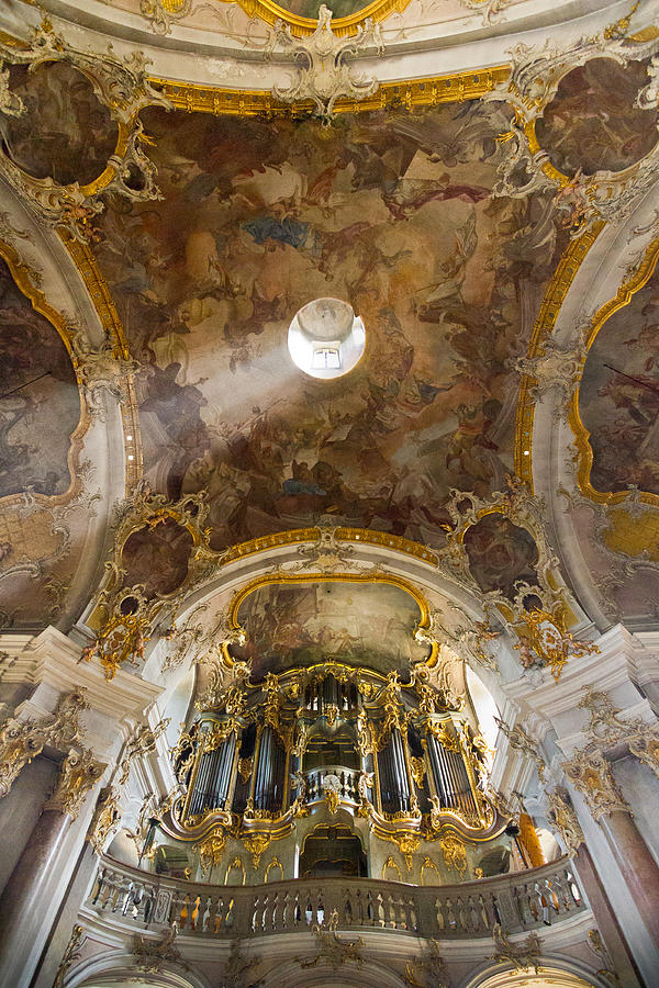 Kappele Wurzburg organ and ceiling Photograph by Jenny Setchell