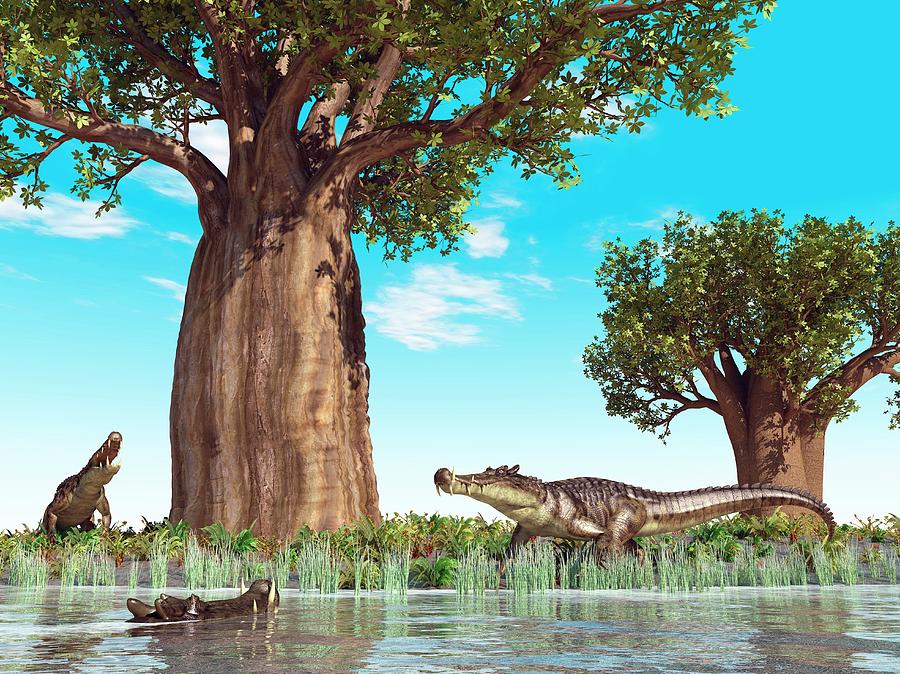 Prehistoric Photograph - Kaprosuchus Prehistoric Crocodiles by Walter Myers