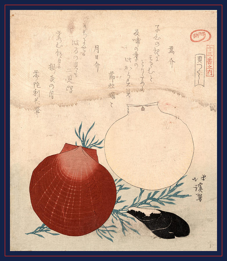 1800 Drawing - Karasugai Tsukihigai, Shellfish. Between 1800 And 1830 by Totoya, Hokkei (1780-1850), Japanese
