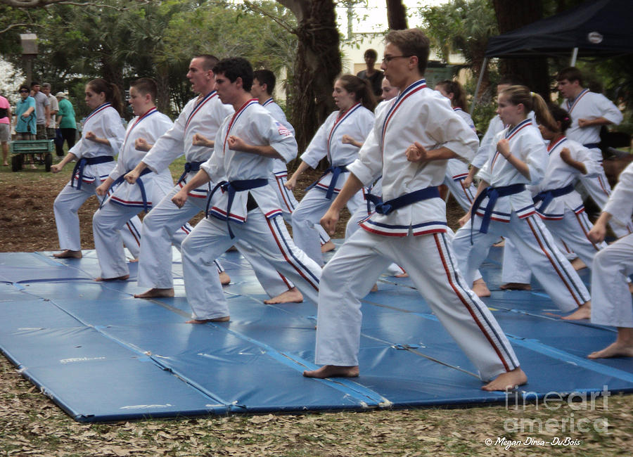 Karate Demo1 Photograph by Megan Dirsa-DuBois