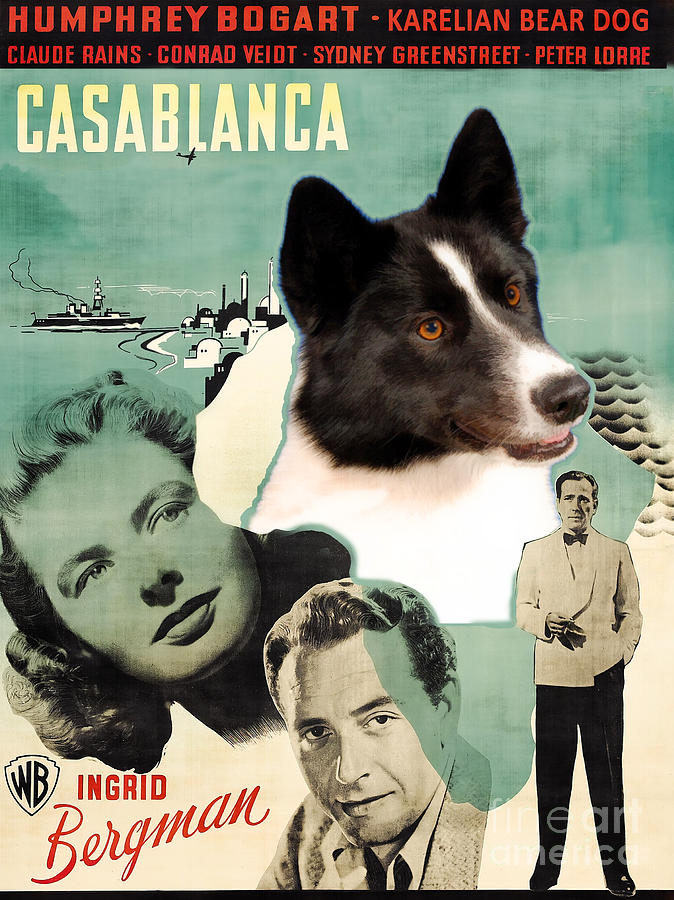 Karelian Bear Dog Art Canvas Print - Casablanca Movie Poster Painting by Sandra Sij
