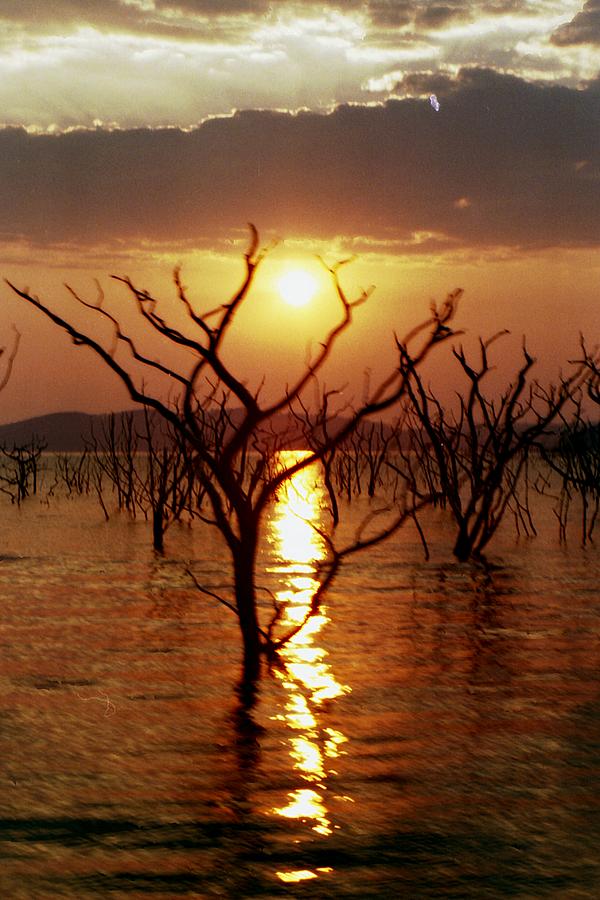 Kariba Sunset Photograph by Jeremy Hayden