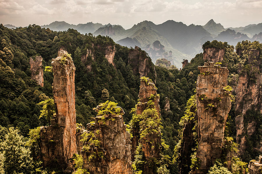 Karst Pillars In Wulingyuan, China Photograph by Tim Martin