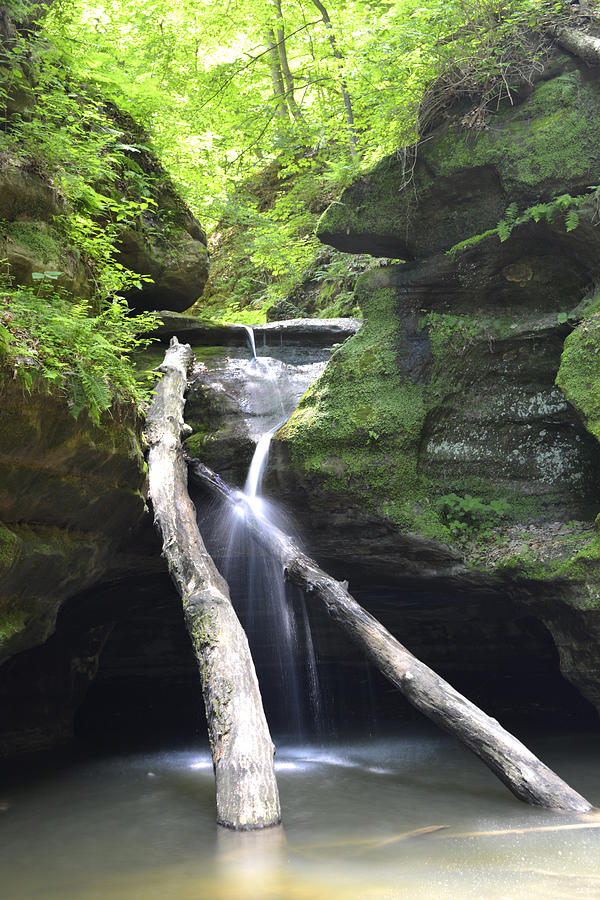 Kaskaskia Canyon Falls Photograph by Forest Floor Photography