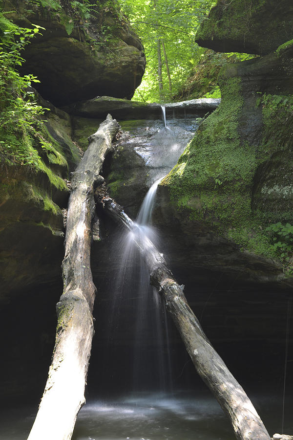 Kaskaskia Falls Photograph by Forest Floor Photography