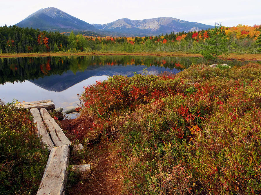 Katahdin Foliage from Martin's Pond Photograph by Tim Canwell - Fine ...