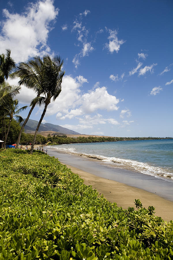 Kauai beach Photograph by Eric Swan - Fine Art America