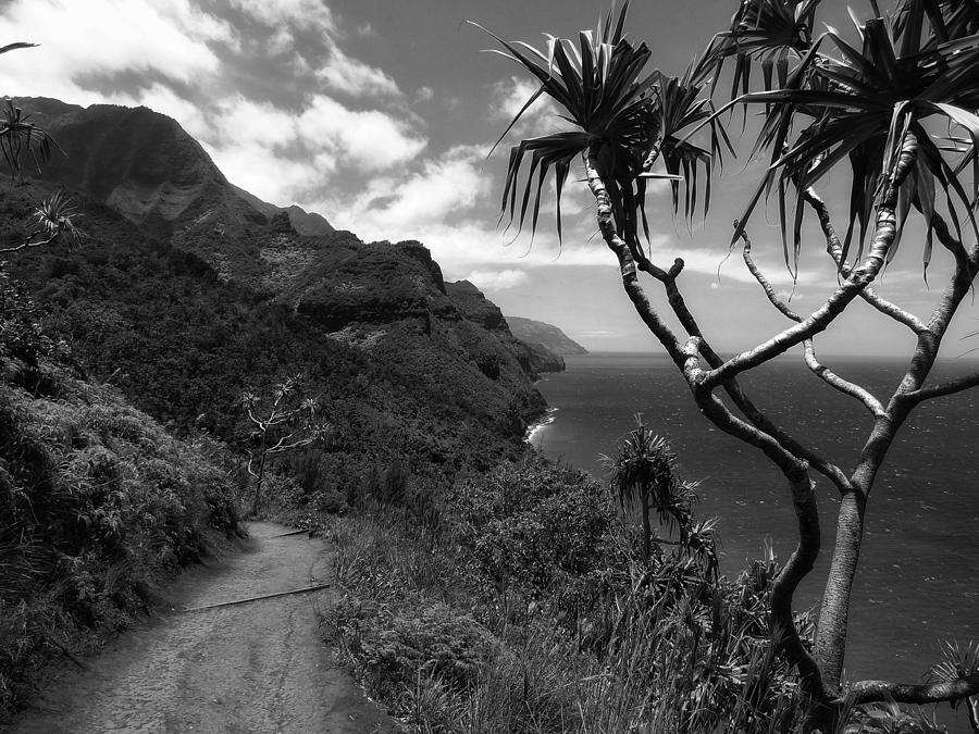 Kauai Coastline Photograph by Mountain Dreams