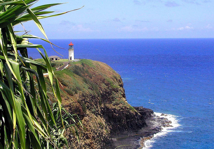 Bird Photograph - Kauai Lighthouse by Jean Hall