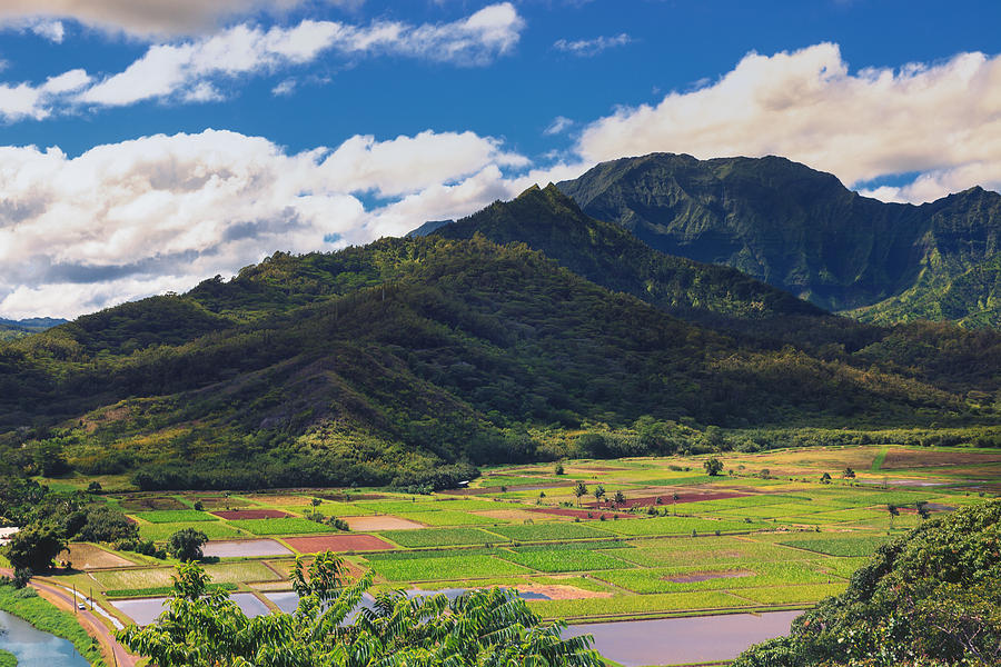 plantation tours on kauai