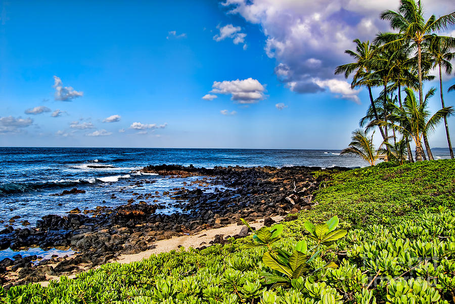 Kauai Rock Beach Photograph by Baywest Imaging | Fine Art America