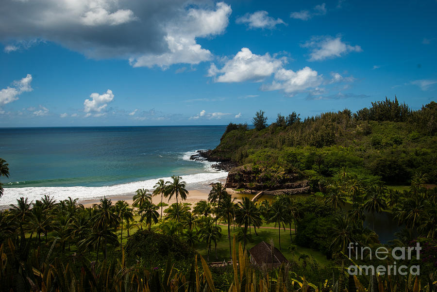 Kauai South Shore Jungle Photograph by Blake Webster
