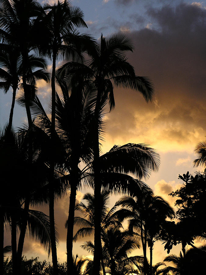 Kauai Sunrise Photograph by Robert Lozen