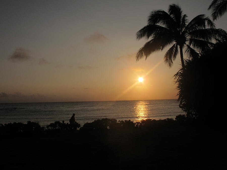 Sunset Photograph - Kauai Sunset With Palms by Pamela Funk