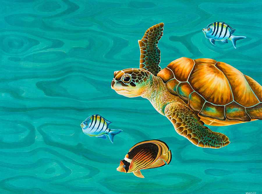 Turtle Painting - Kauila Sea Turtle by Emily Brantley