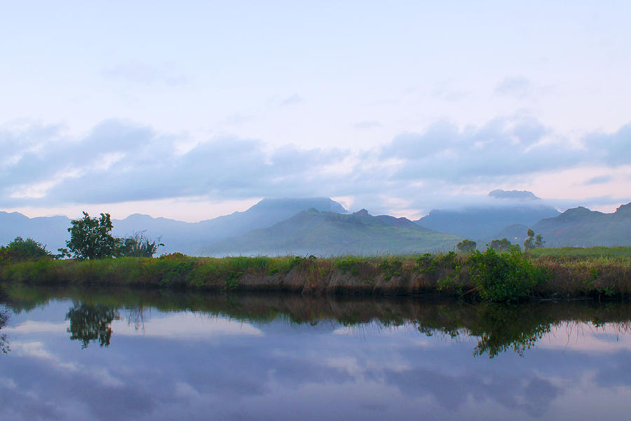 Kawainui Marsh Mist Photograph by Saya Studios
