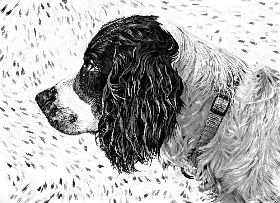 Dog Photograph - Kaya wood carving filter by Steve Harrington