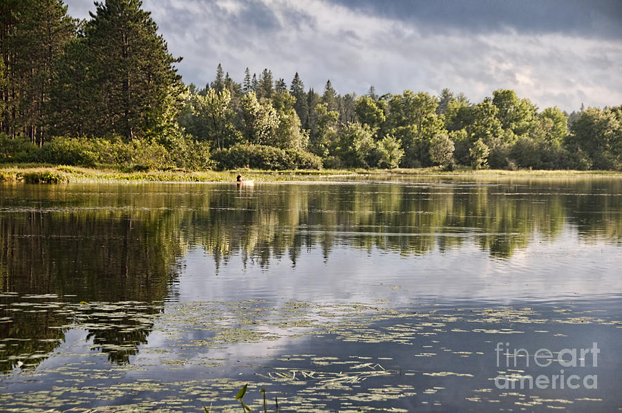 Kayak on the Lake Photograph by David Arment