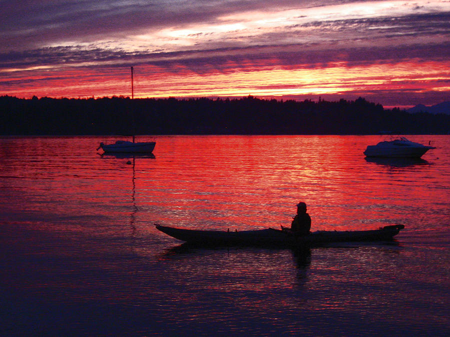 Kayaker at Night it is a delight Photograph by Kym Backland