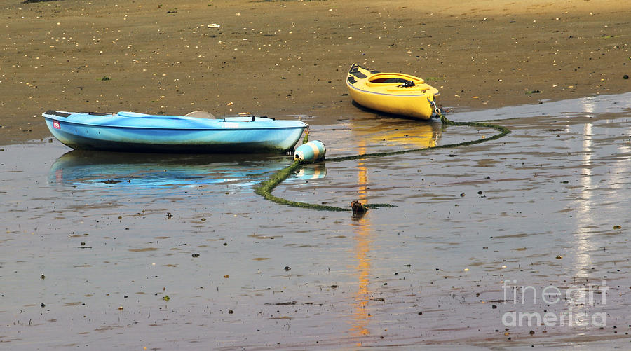 Kayaks-Blue and Yellow Photograph by Sebastian Mathews Szewczyk