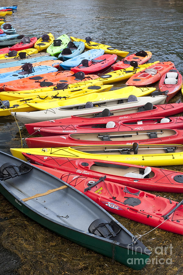 Kayaks Photograph by Bryan Keil