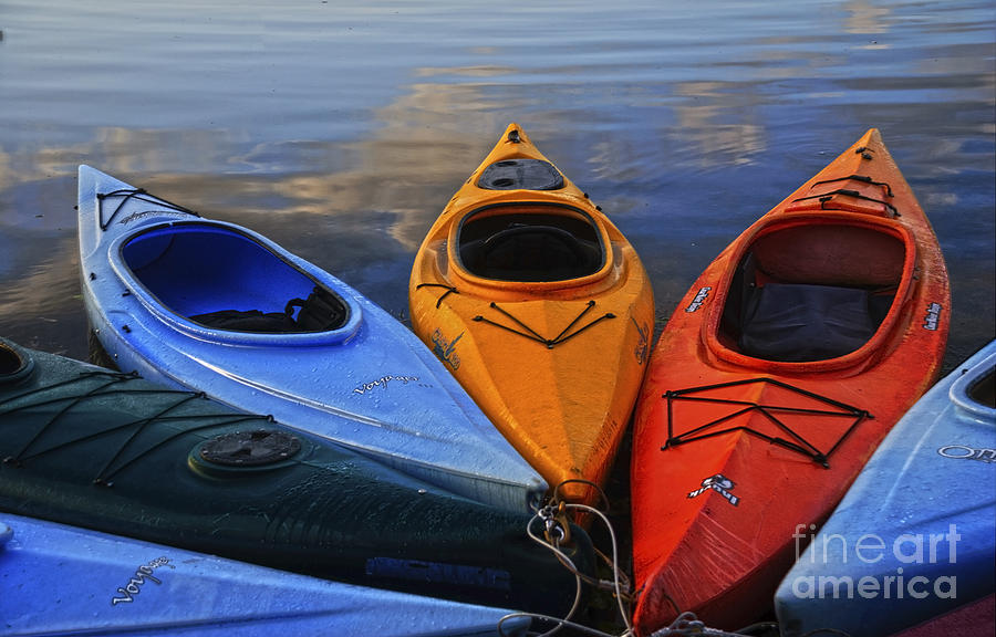 Kayaks Photograph by Debra Fedchin