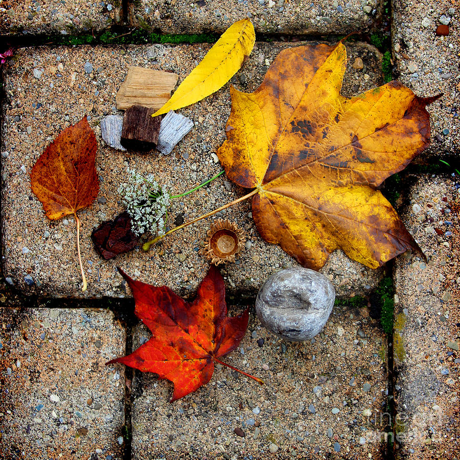 Fall Photograph - Kaylas Treasures by Karen Adams