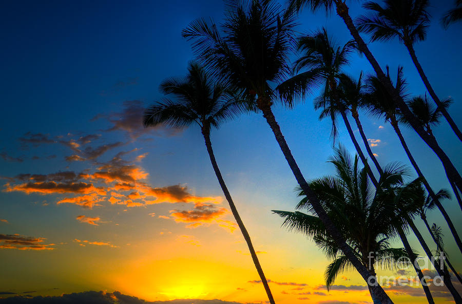 Keawakapu Palms Sunset Photograph by Kelly Wade