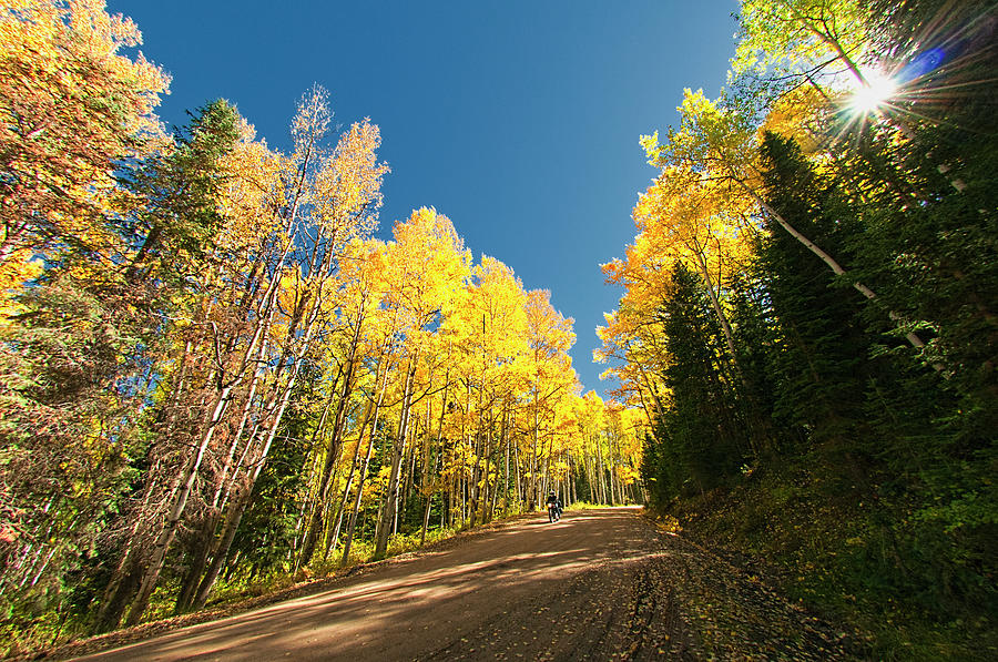 Kebler Pass, Autumn, Colorado Photograph by Alan W Cole Kebler Pass, Autumn, Colorado Photograph by Alan W Cole
