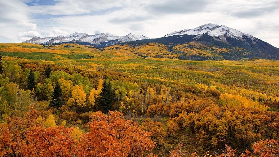 Kebler Pass View in Autumn No.2 Photograph by Daniel Woodrum