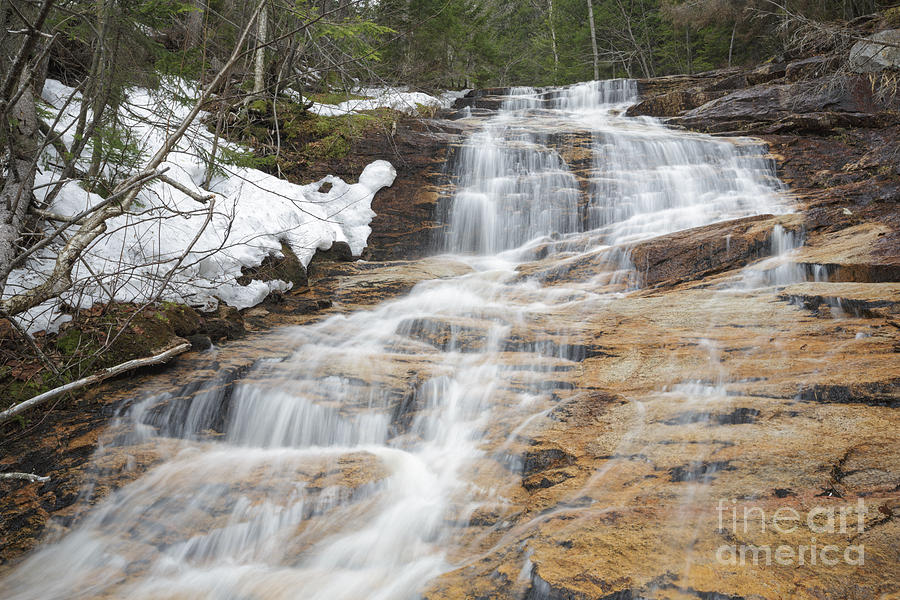 Nature Photograph - Kedron Flume - Harts Location New Hampshire by Erin Paul Donovan