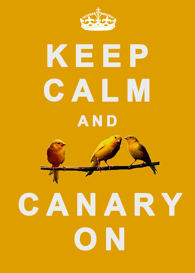 Keep Calm And  Canary On Digital Art by Jean Moore