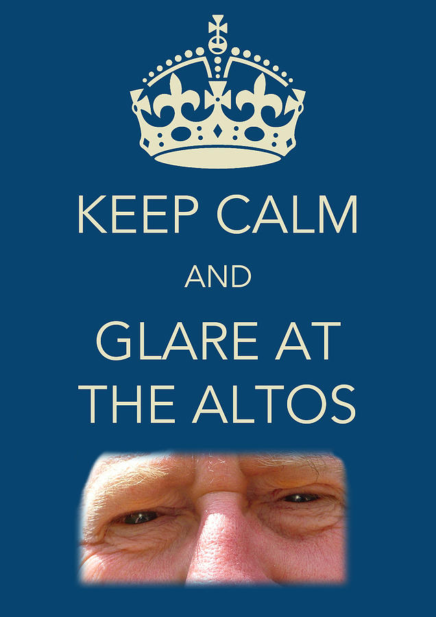 Keep Calm and Glare at the Altos Photograph by Jenny Setchell