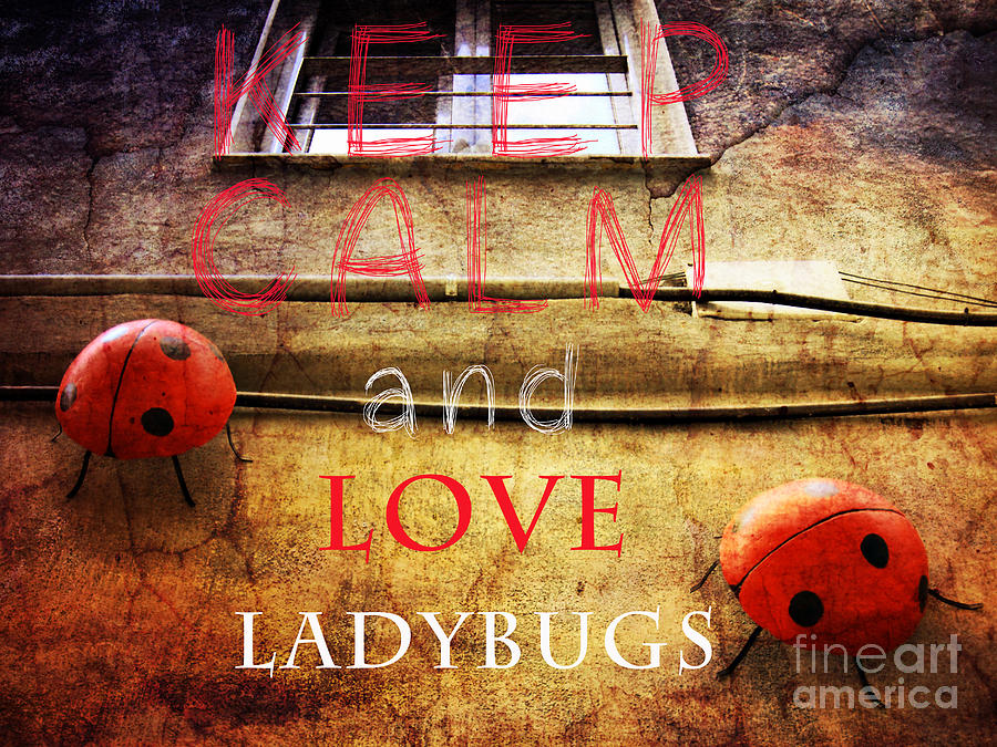 Keep Calm and love ladybugs Digital Art by Justyna Jaszke JBJart