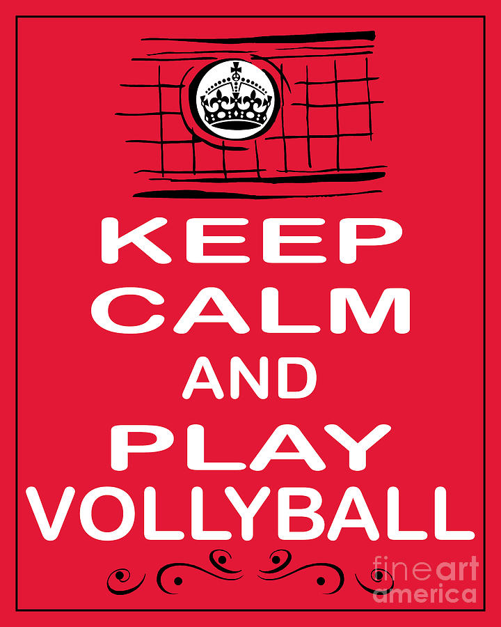 Sports Photograph - Keep Calm And Play Volleyball by Daryl Macintyre