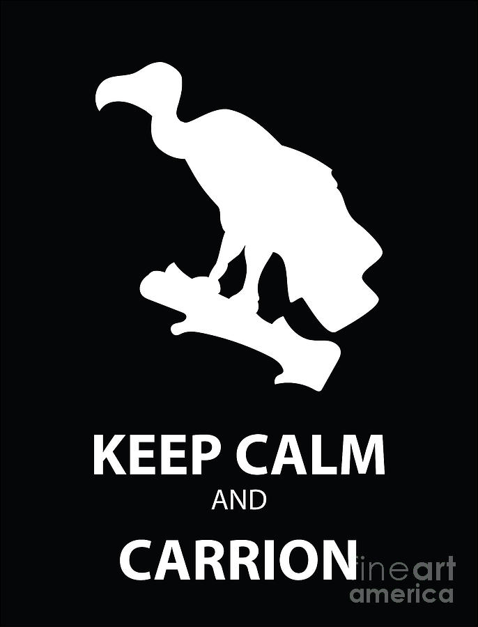 Vulture Photograph - Keep Calm by Kevin Grant